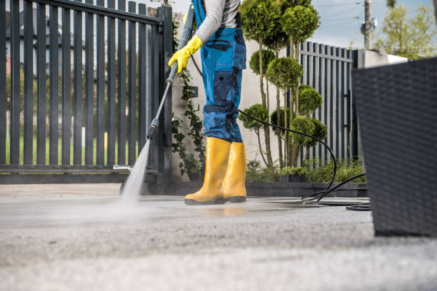 Best Playground Equipment Cleaning  in Williamstown, WV